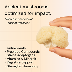 Nouvera™ Lion's Mane Neuro Elixir