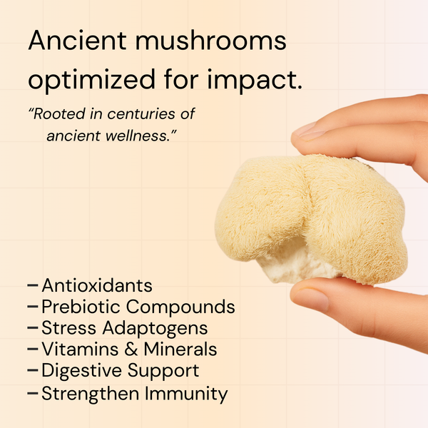 Nouvera™ Lion's Mane Neuro Elixir